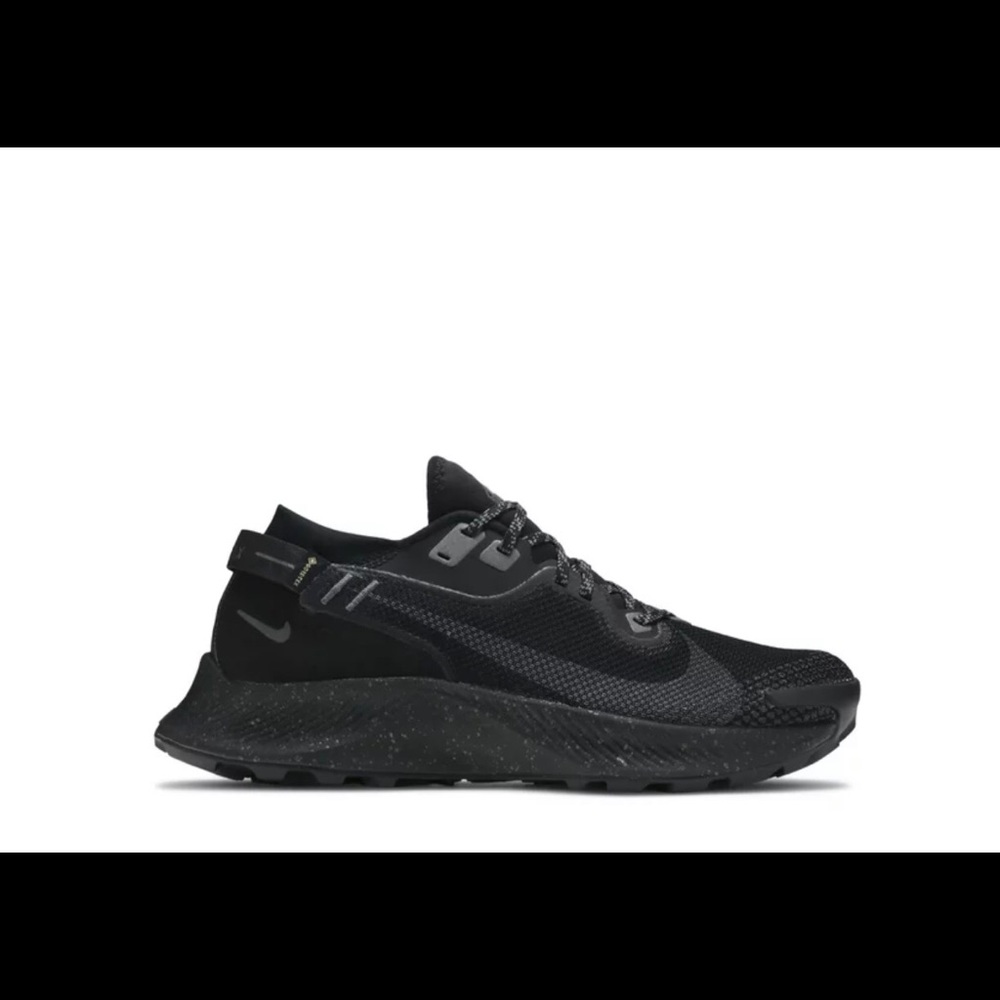 Nike Goretex Pegasus Trail 2